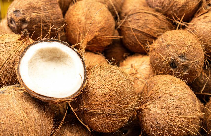 PEXELS | Varios cocos en el suelo. Uno de ellos a la mitad.