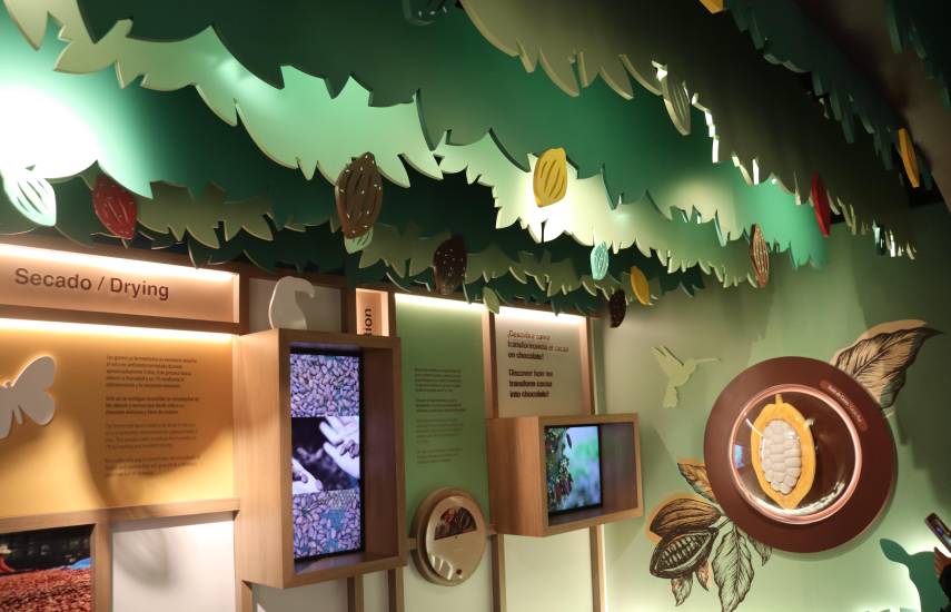 Museo inmersivo que resalta la producción local