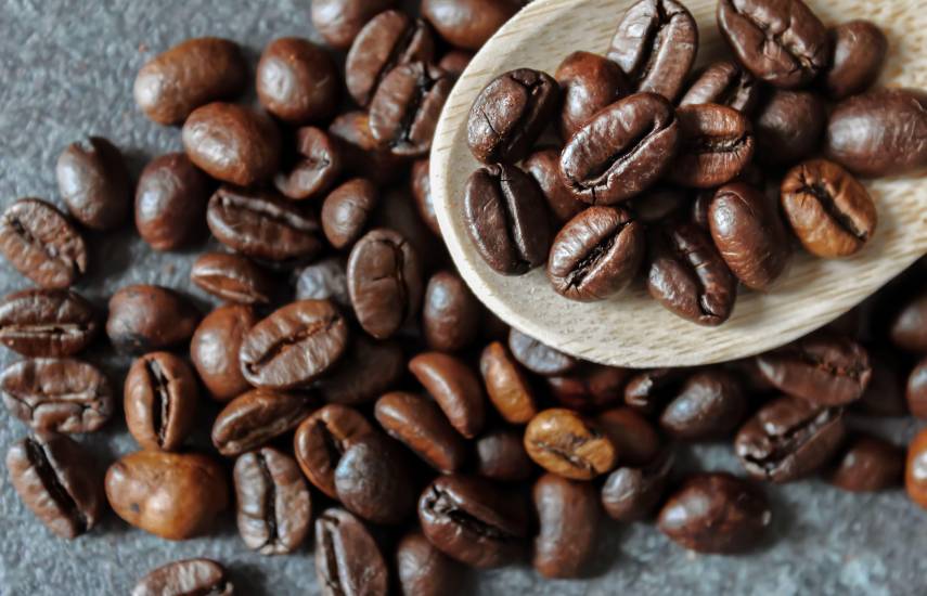 La producción de café supera los 168 mil quintales al año; Chiriquí lidera cosecha