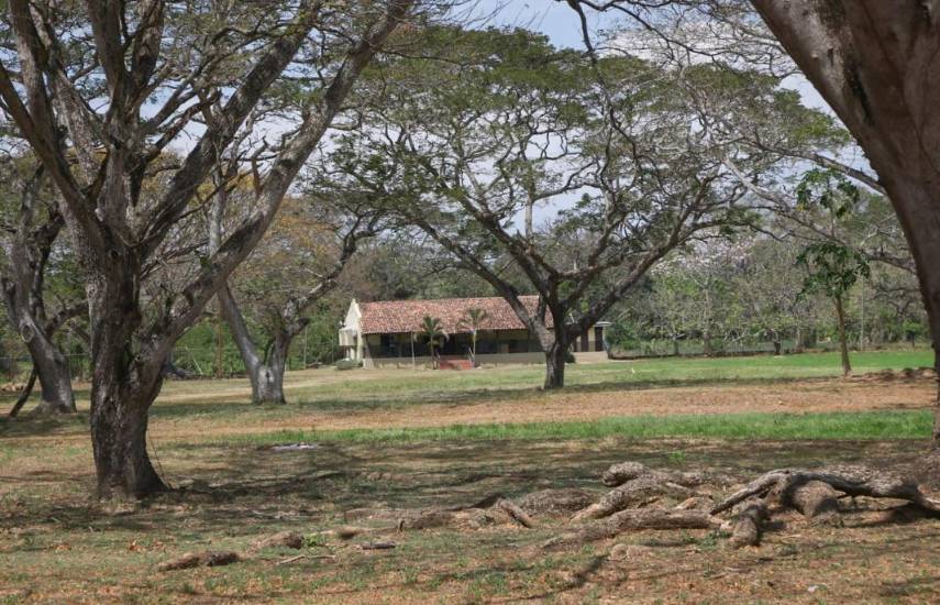Educación patrimonial y proyectos