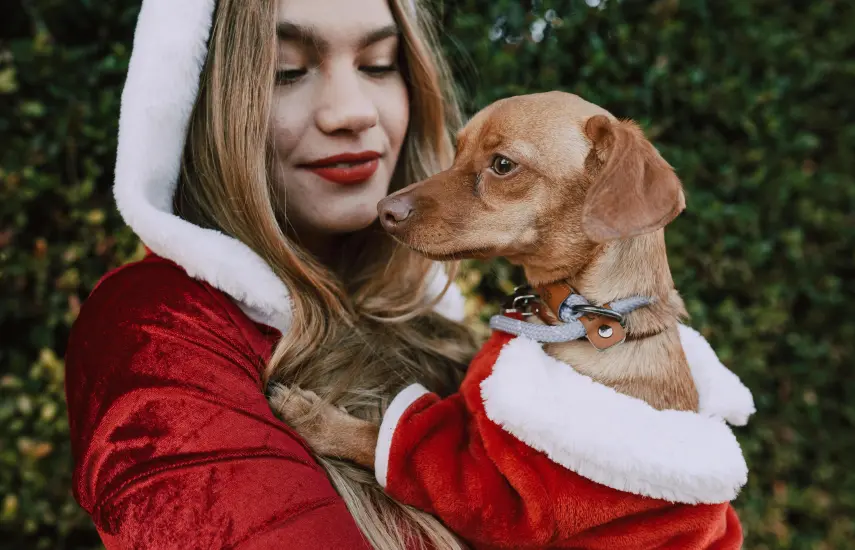 Organizan un desfile navideño de mascotas