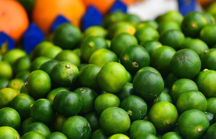 Producción de limón aumentó un 31.6%