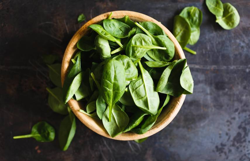 Coclé lidera producción de albahaca