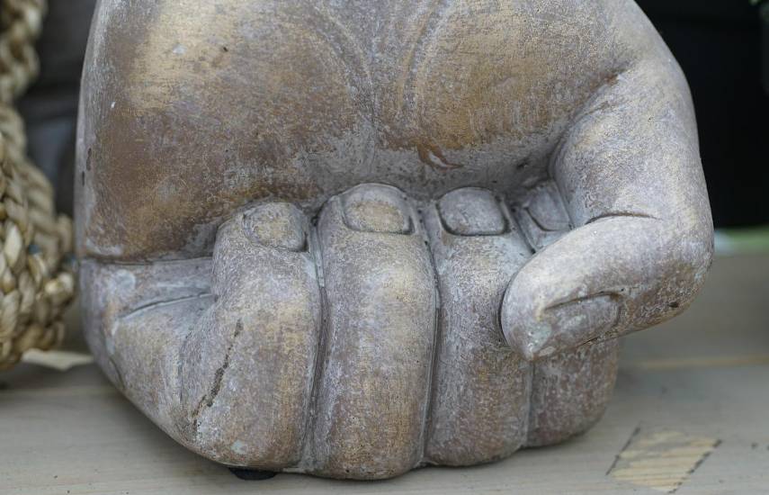 Tejemeneje del 19 de noviembre de 2025