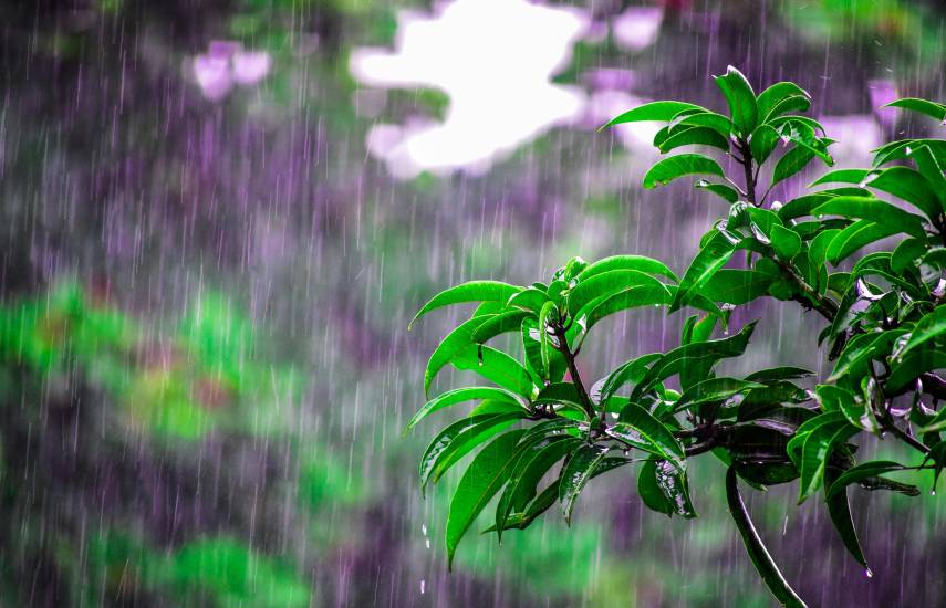 Prevén cambios y retrasos en lluvias