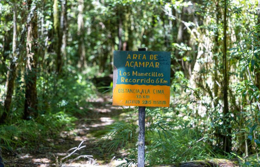 Parque Volcán Barú: 50 años custodiando la biodiversidad