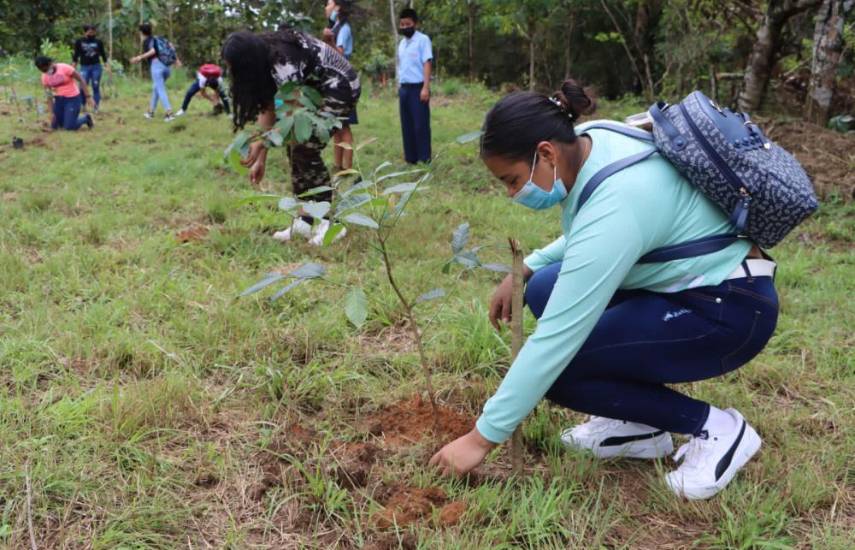 Panamá, tercer país en aprobar una propuesta para implementar la educación para el desarrollo sostenible