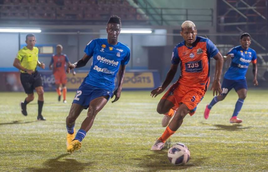 Trabajarían en alternativas