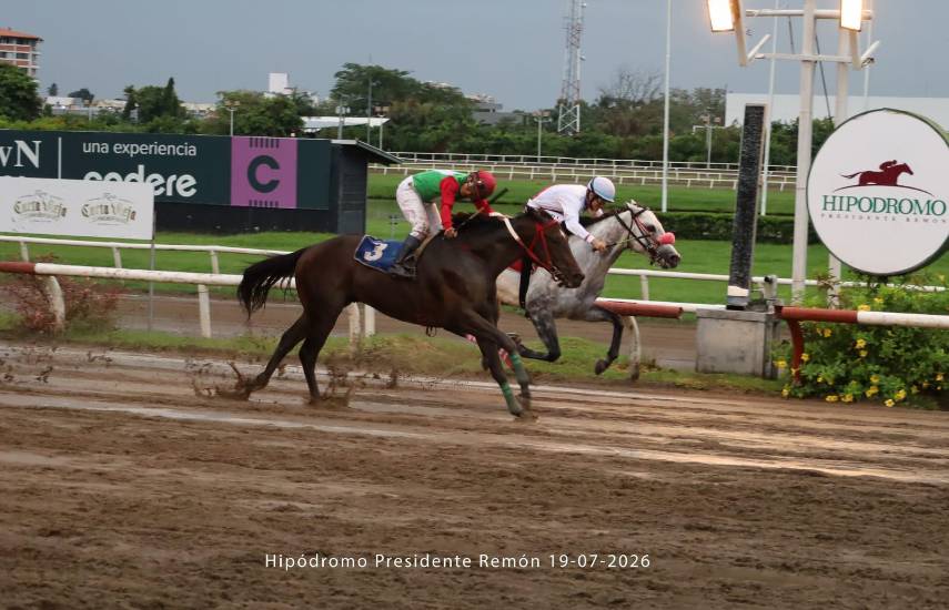 Handicap Vet Evolution, prueba estelar de hoy