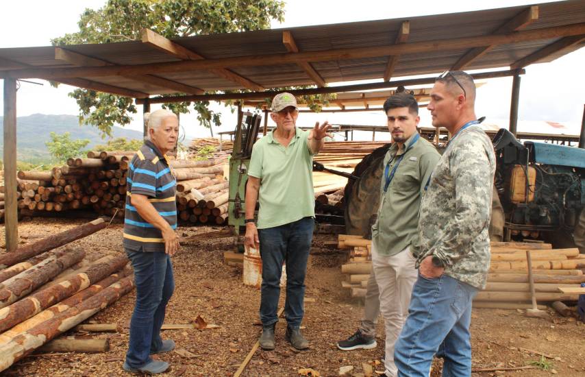 Herramienta de trazabilidad forestal para controlar el flujo maderero