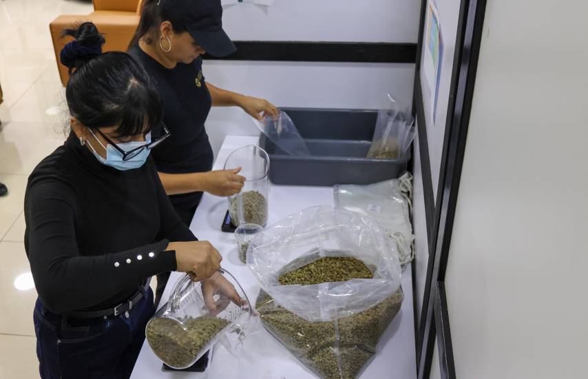 La edición 30 del Best of Panama evaluará 102 lotes de café de especialidad
