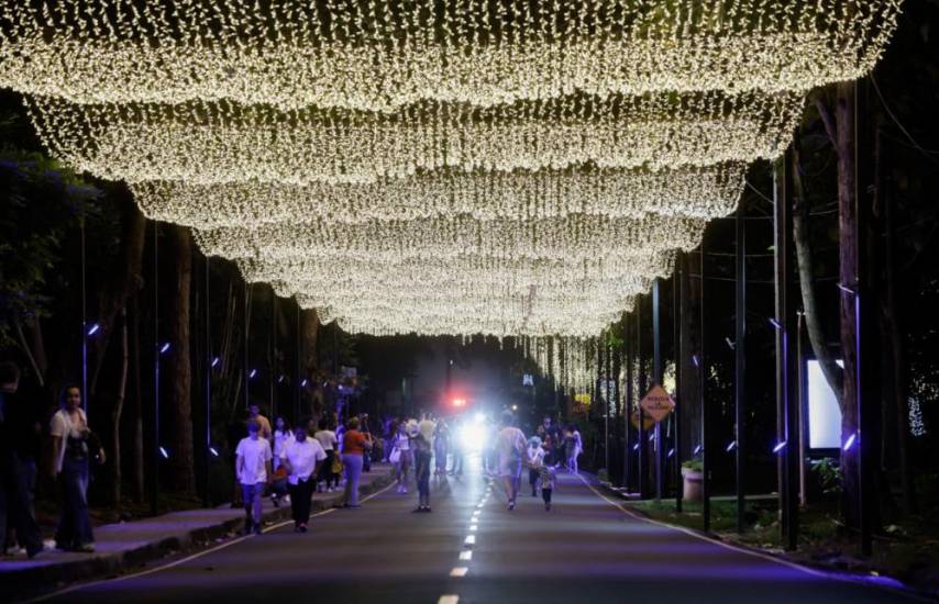 Inicia la época navideña con el encendido de luces en el Parque Omar