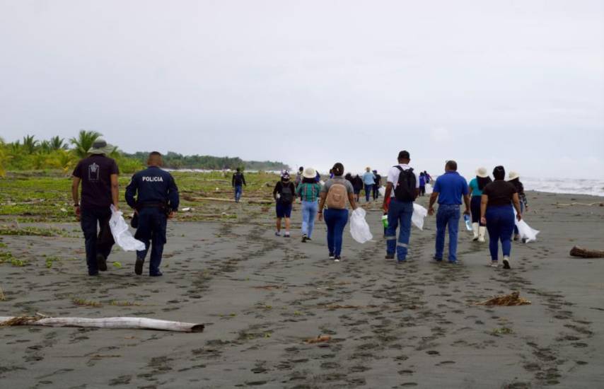 Bocas del Toro se prepara para la llegada de las tortugas marinas