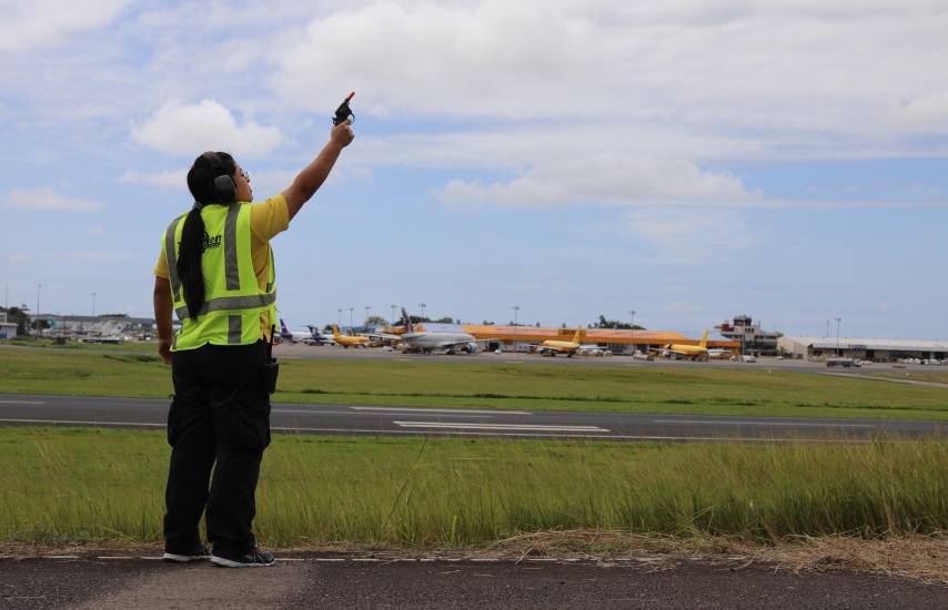 Aeropuerto de Tocumen refuerza controles ante el aumento del tránsito de aves migratorias