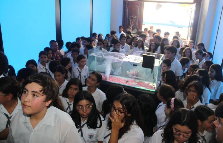 Arranca Expo Acuario 2023