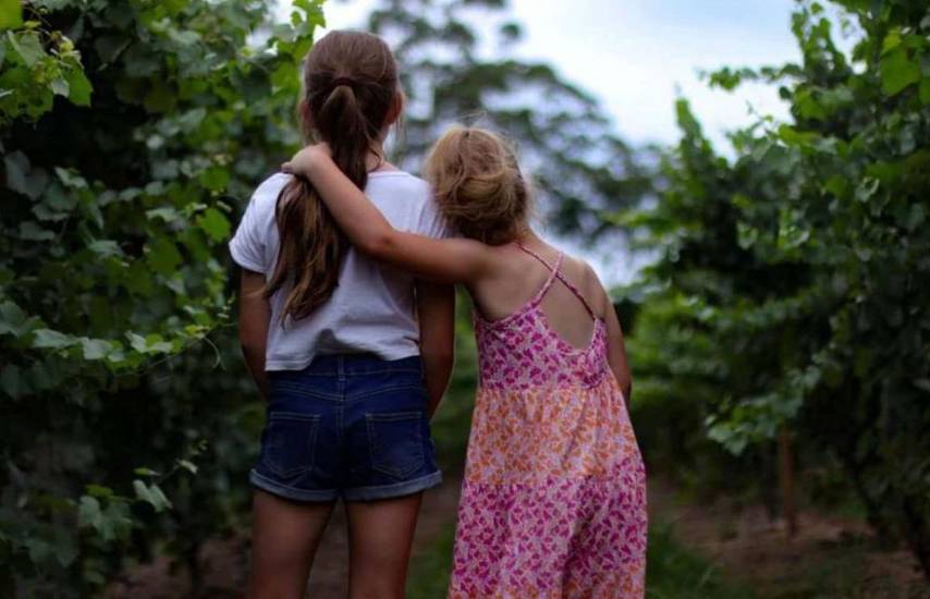 Alianzas familiares y conflictos: nunca tome partido y escuche a todas las partes