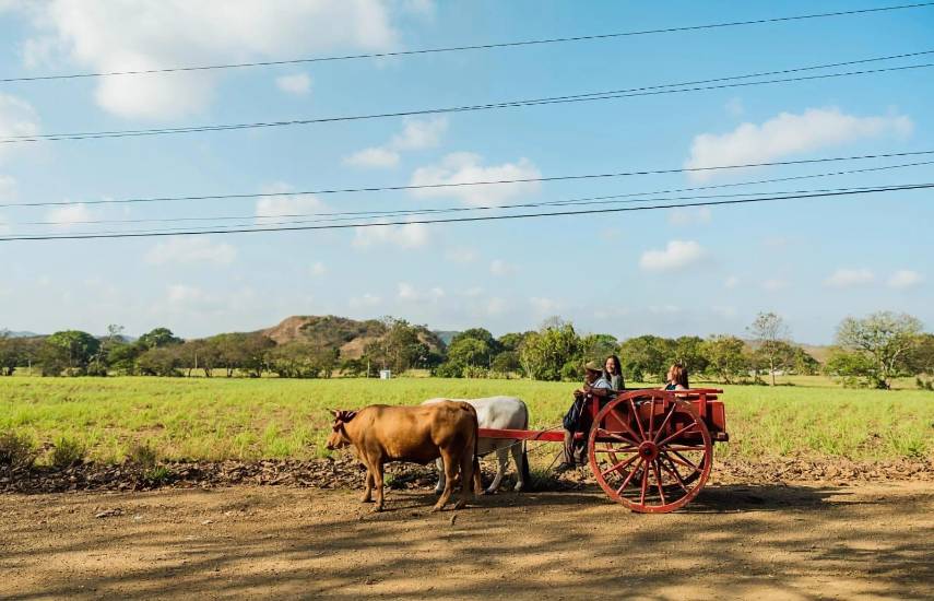 “Infraestructura y agroturismo”, para reactivar Bocas del Toro