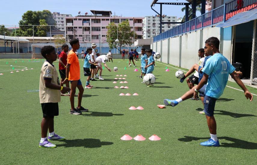 Ley del deporte revive