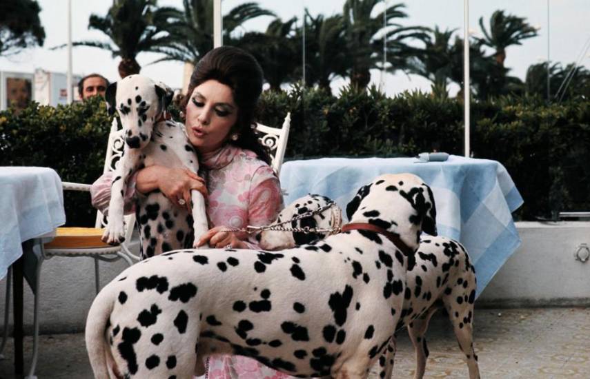 Muere a los 95 años la diva italiana Gina Lollobrigida