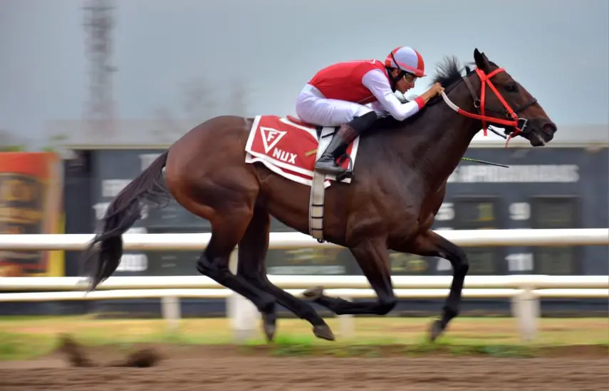 Un argentino reta a ocho americanos
