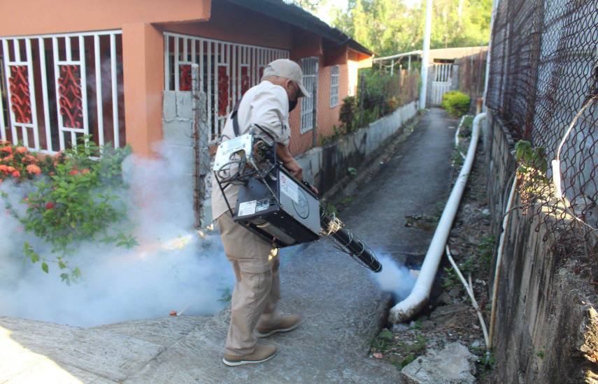 Panamá registra 3,905 casos de dengue y 12 defunciones en 2026