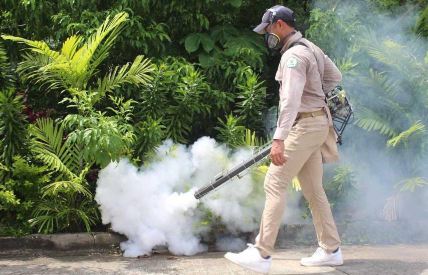 ML | Acciones para prevenir el dengue.