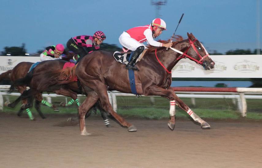 Daddy King se pone en la primera línea a la Copa Velocidad del Caribe