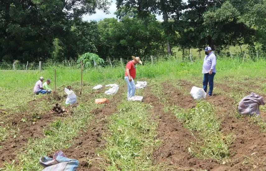 Turismo, infraestructura y agro para generar empleo en Herrera y Los Santos