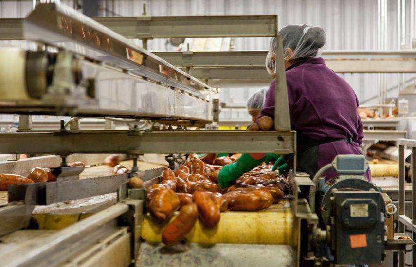 Aumenta creación de puestos de trabajo en EEUU y desempleo retrocede en marzo