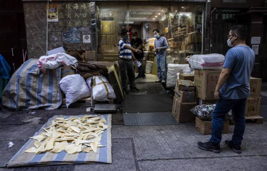 Comercio de aletas de tiburón en Hong Kong, amenazado por cumbre de fauna en Panamá