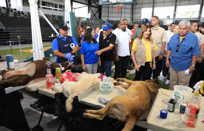 Misión Patitas alcanza 20 mil esterilizaciones y Mulino anuncia clínica para mascotas en Chiriquí