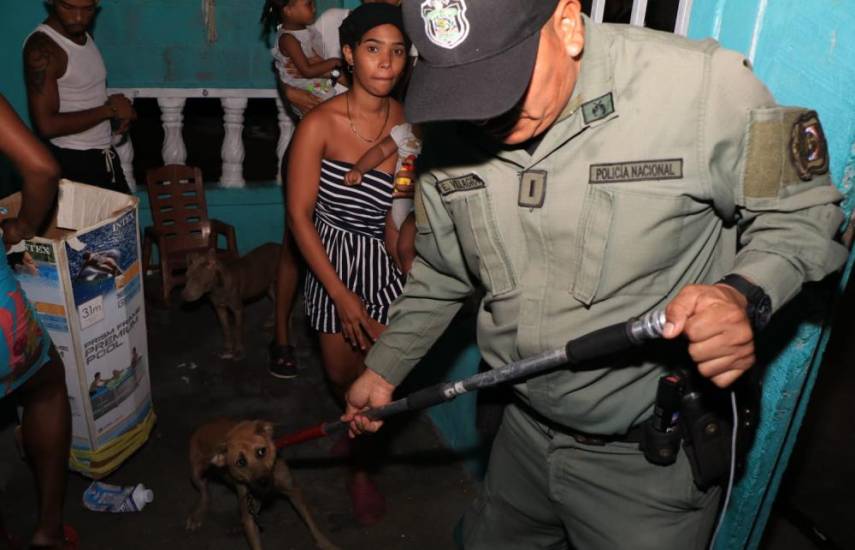 Se llevaron hasta a un perro en operativos realizados en San Miguelito, hay 10 personas aprehendidas