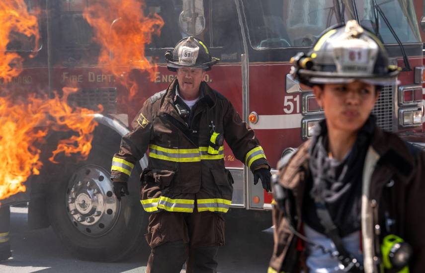 Una década con Stella