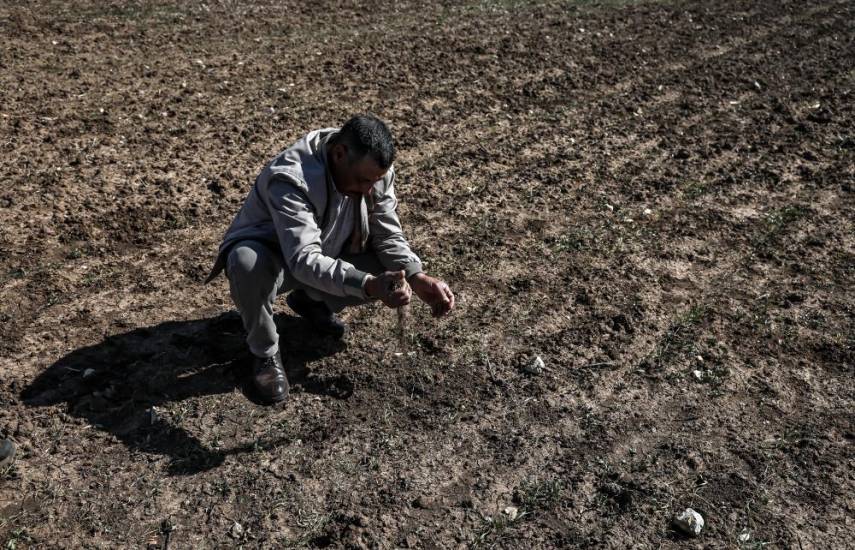 La sequía pone en peligro la cosecha en la región cerealera de Marruecos