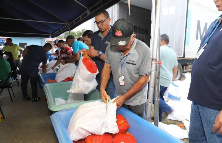 Autorizan importar jamón picnic y materia prima de cerdo para la industria local