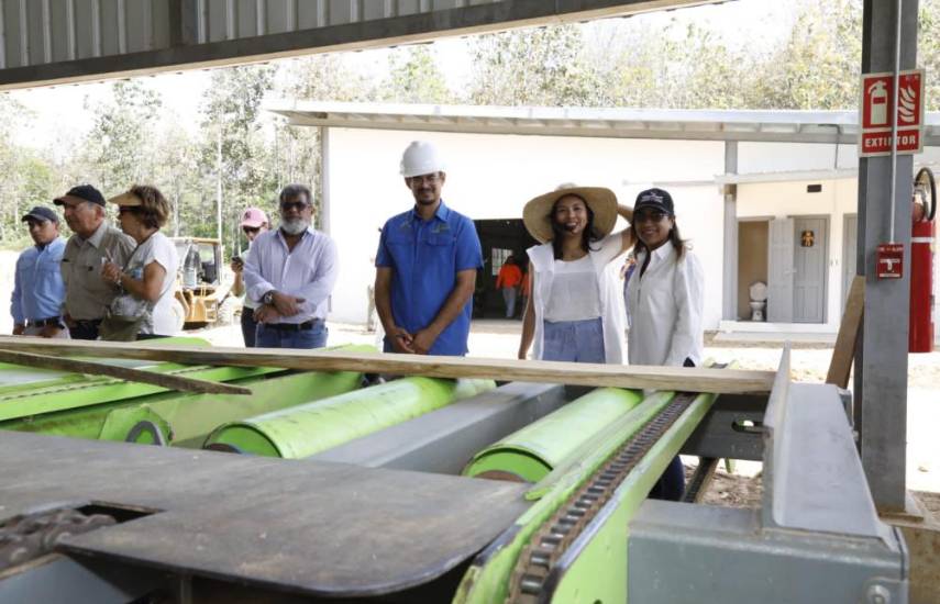 Inauguran primera planta procesadora certificada de madera procedente de plantaciones forestales