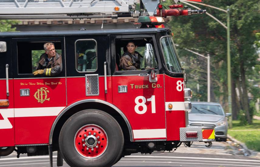 Una década con Stella