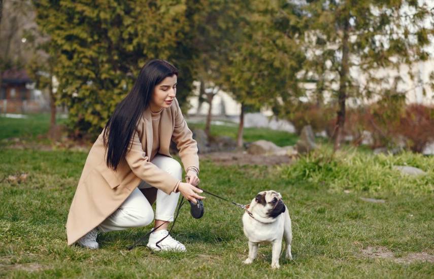 Heces caninas, problema en la ciudad
