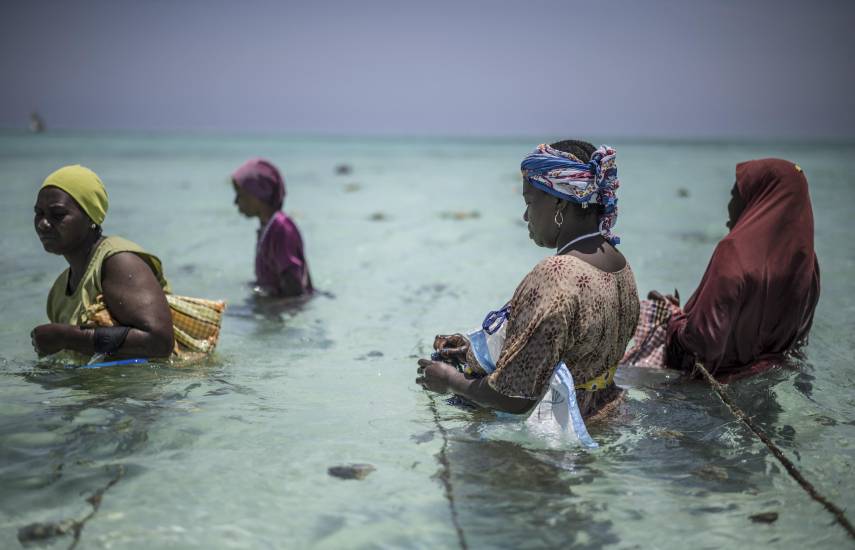 Miembros de la Cooperativa de Cultivadores de Esponjas de Zanzíbar.