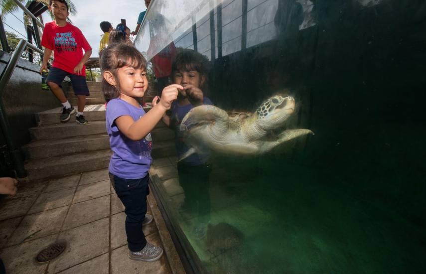Qué lugares visitar gastando muy poco