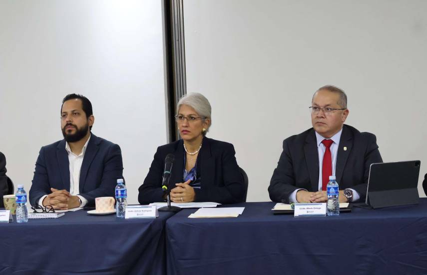 Respaldan reformas a ley que regula el sector eléctrico