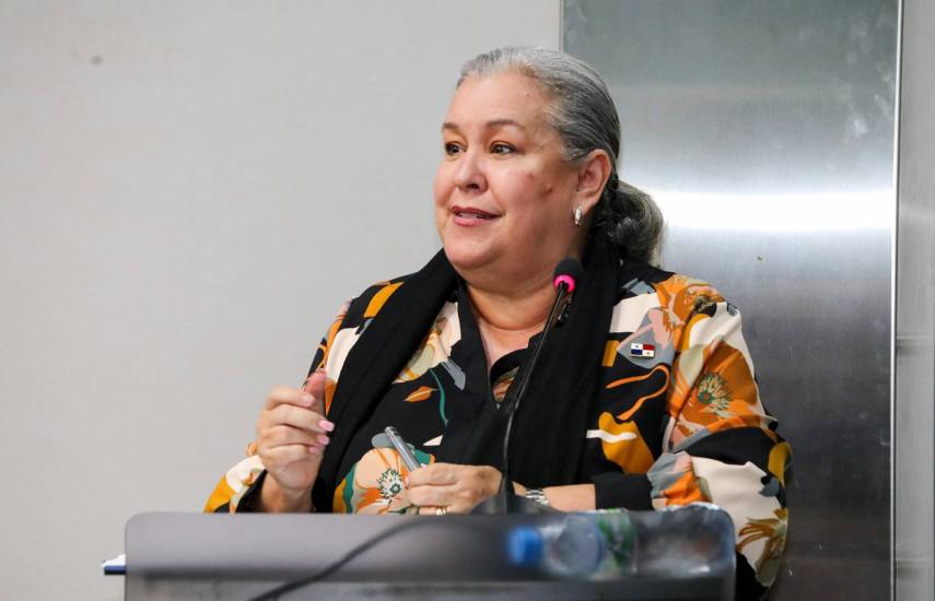 Ministra Carles comparecerá ante el pleno legislativo el 1 de abril