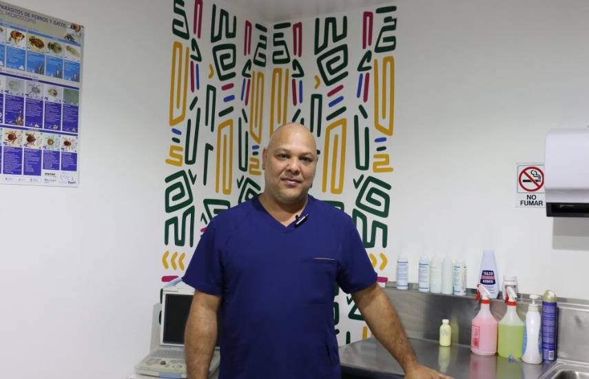 Silla de ruedas para perros