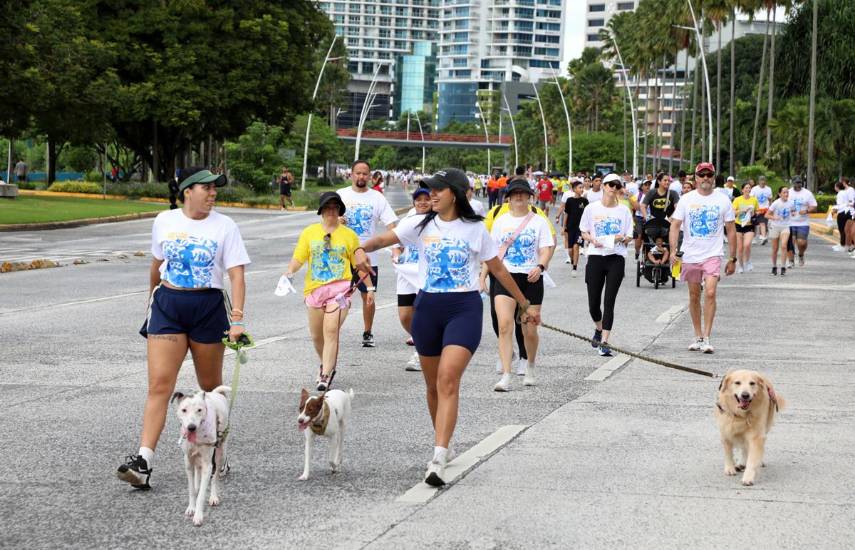 $!La Caminata Familiar Susie Thayer 2026 supera los 15 mil participantes
