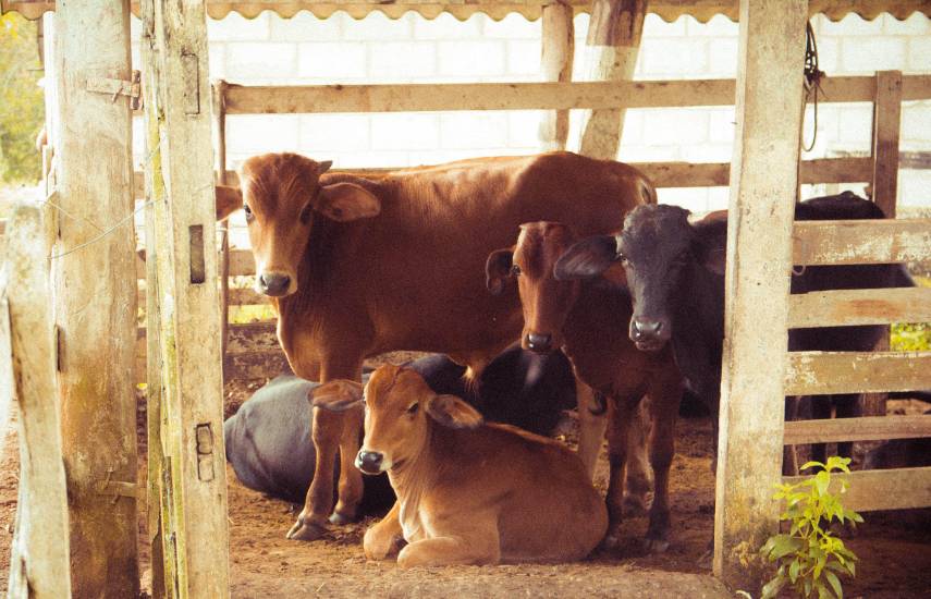 Duty Free del 21 de abril de 2026