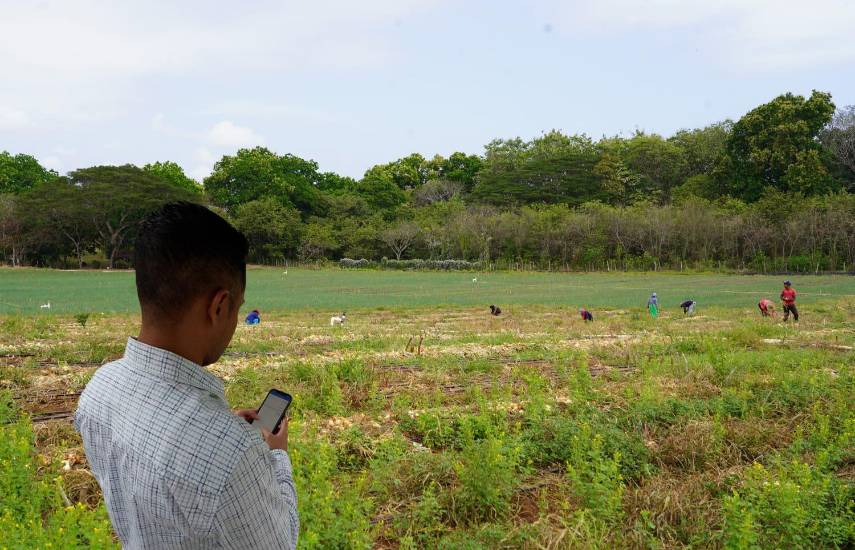 Productores podrán pagar por Yappy sus pólizas