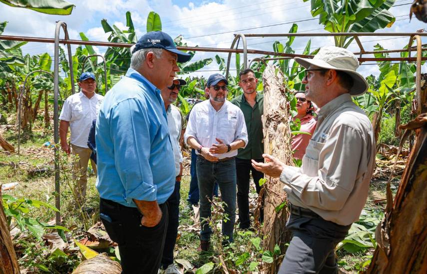 MICI anuncia próxima instalación de Mesa Técnica con Chiquita Panamá