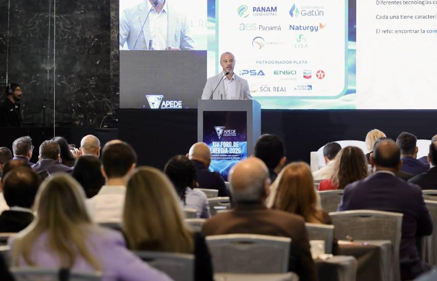 Gobierno anuncia licitaciones clave para el sector eléctrico en marzo