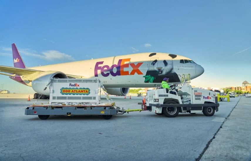 China envía dos pandas gigantes a EEUU