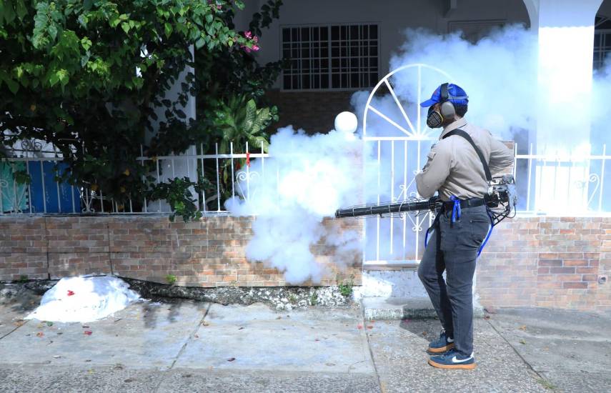Minsa: San Miguelito registra 313 casos de dengue y ninguna defunción